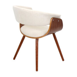 Vamus aliquet faucibus