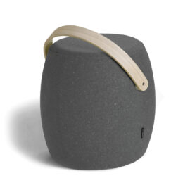 Morbi pellentesque estat